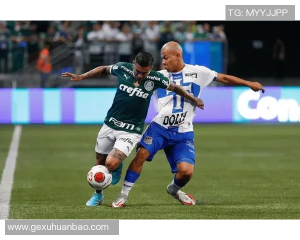 巴西国际主场迎战福塔雷萨精彩对决回顾及赛后分析